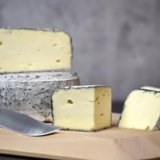 JasperHill_SherryGray