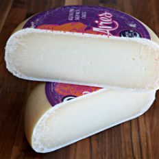 ShootingStarCreamery_Aries