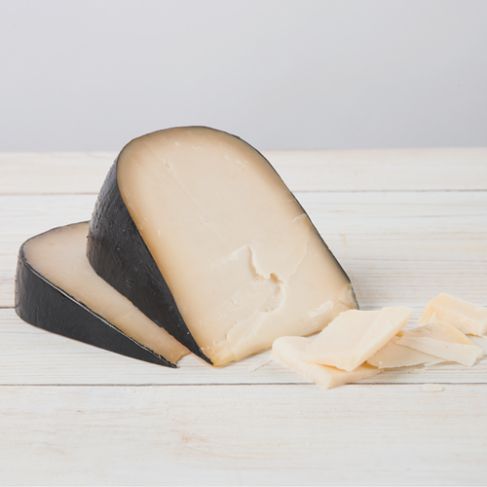 Cypress_MidnightMoon