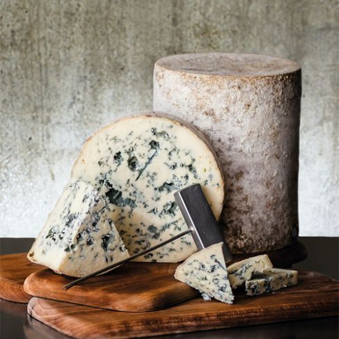 JasperHill_BayleyHazenBlue