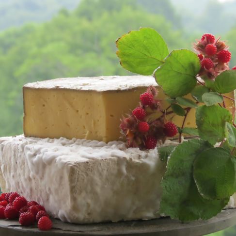 MeadowCreek_Appalachian