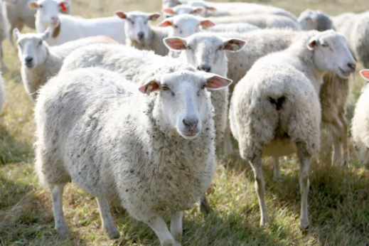 Screenshot 2023-06-09 at 2.36.12 PM