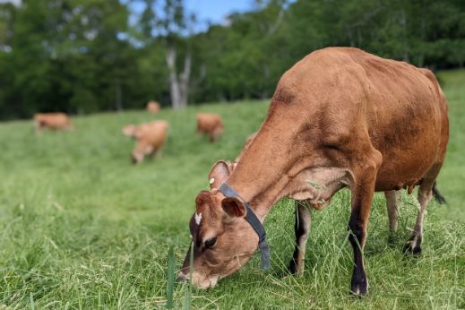 PXL_20220608_152817159.PORTRAIT