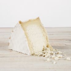 Cypress_TruffleTremor