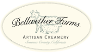 bellwether_logo
