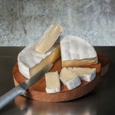 JasperHill_MosesSleeper